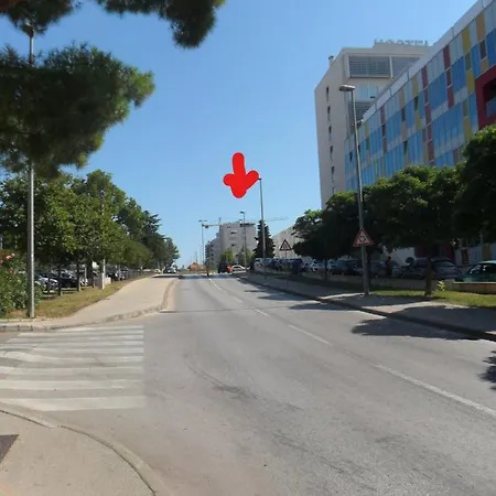 Pavo Zadar