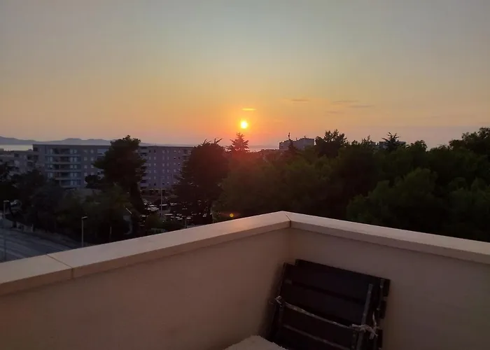 Pavo Zadar