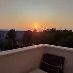 Pavo זאדאר