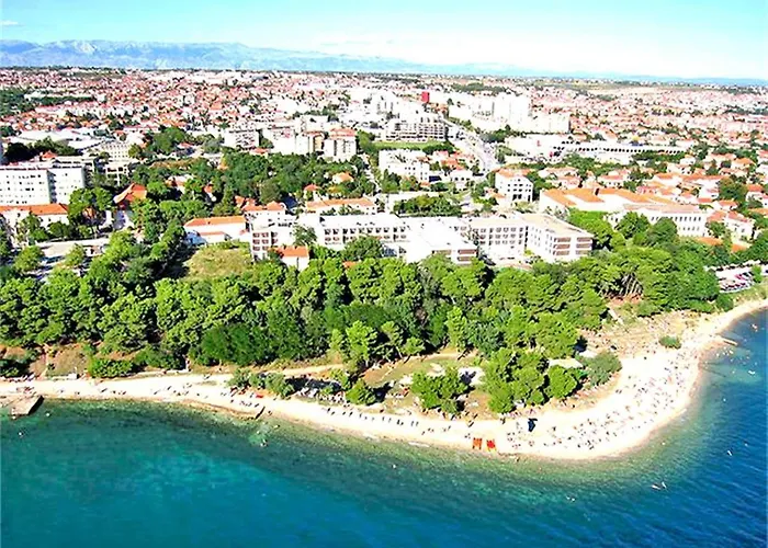 Pavo *